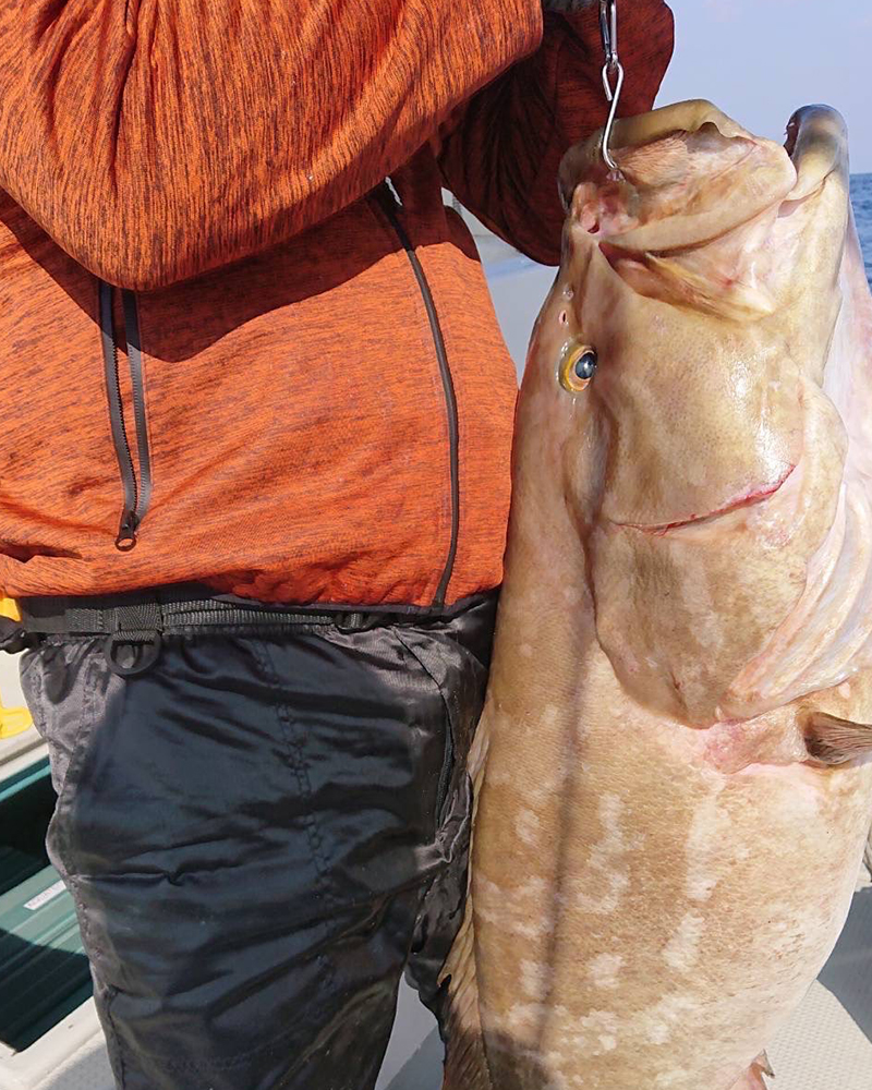 釣り船 第二磯丸の釣果ギャラリー